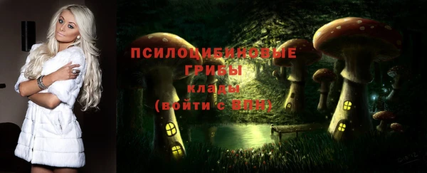 дурь Касимов