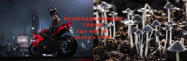 мет Карпинск