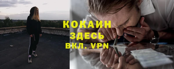 дурь Касимов