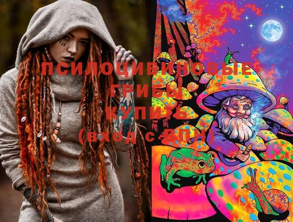 мет Карпинск