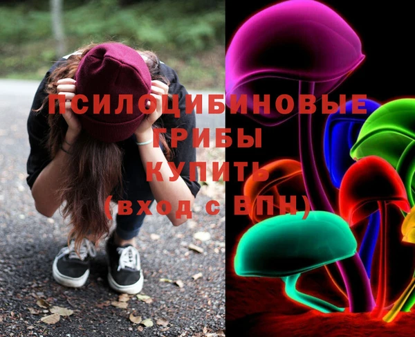 мет Карпинск