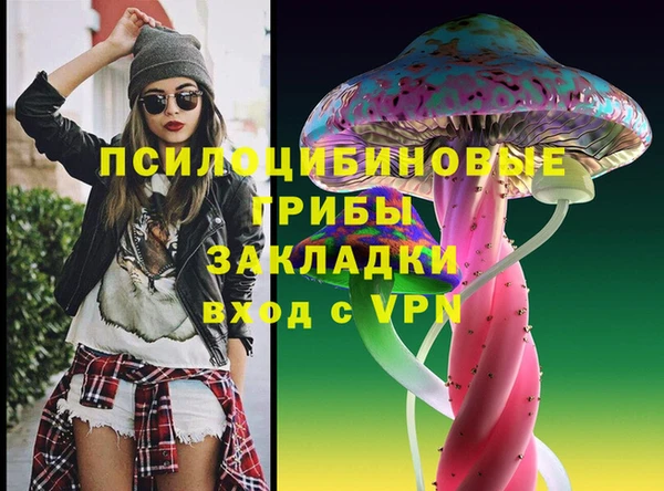 мет Карпинск
