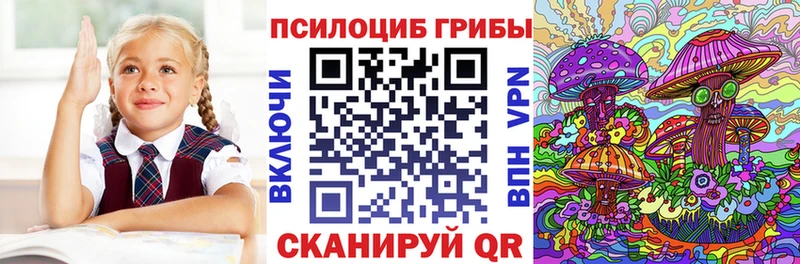 Галлюциногенные грибы Psilocybe  Купить закладки  Бодайбо 